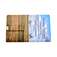 Флешка Пластиковая Визитка "Visit Card" S78 белая, уф-печать 4+0