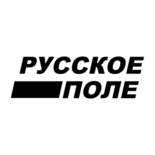 Русское поле - Флешка Металлическая Ключ "Key" R145 серебристый, гравировка с чернением