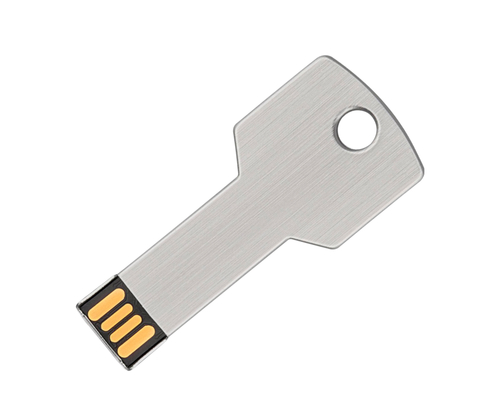 Флешка Металлическая Ключ "Key" R145 серебряный матовый 16 Гб