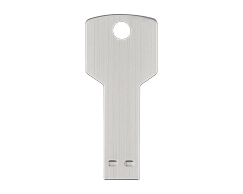 Флешка Металлическая Ключ "Key" R145 серебряный матовый 1 Гб