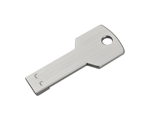 Флешка Металлическая Ключ "Key" R145 серебряный матовый 64 Гб