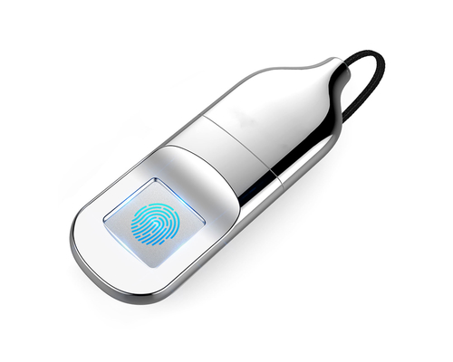 Флешка Металлическая Биометрик "Biometric" R281 серебряная 16 Гб