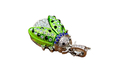 Флешка Металлическая Жук "Beetle" R451 зеленый 64 Гб