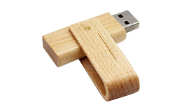 Флешка Деревянная Твистер Радис "Twist Radis" F113